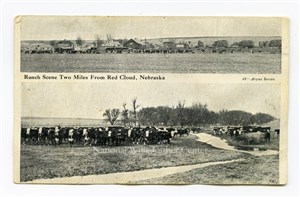 Image description is not available for PHO-264-701